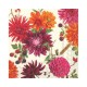 Serviettes lunch fleurs dahlia - IHR