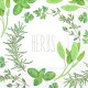 Serviettes lunch fleurs herbes aromatiques - IHR