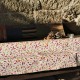 Nappe enduite ovale 160x240 Tilleul Prune - Fleur de Soleil